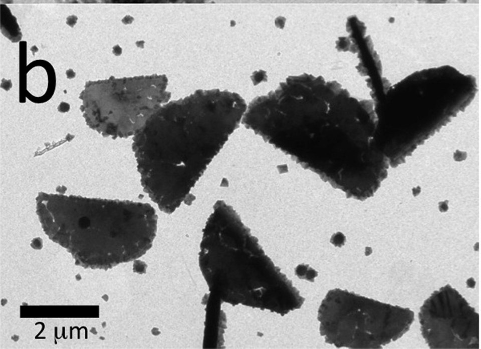 TEM crop showing faceted porphyrin ionic solids with a retained 2 micrometre scale bar