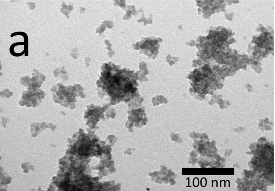 TEM crop showing nanoscale porphyrin ionic-solid aggregates with a retained 100 nanometre scale bar